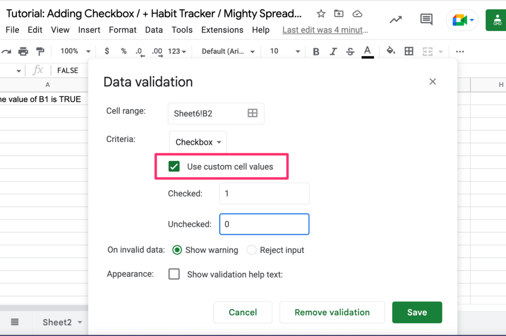 The screenshot highlights the 'use custom cell values' options in the Data validation section