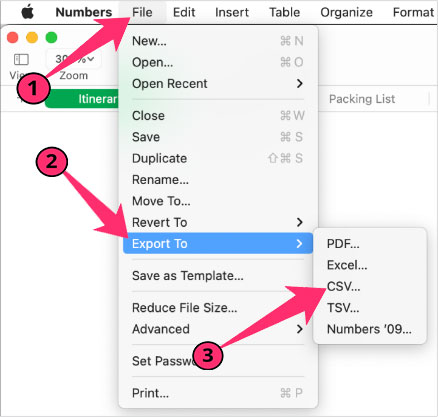 The screenshot shows steps you need to follow in order to export CSV in Numbers on Apple device