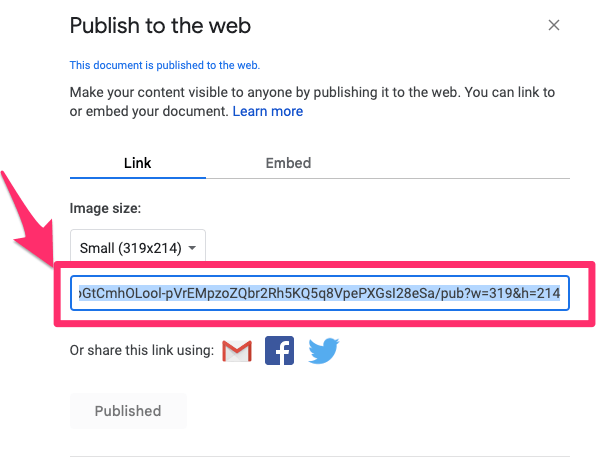 Arrow on the screenshot points to the URL that was created for your image after being published