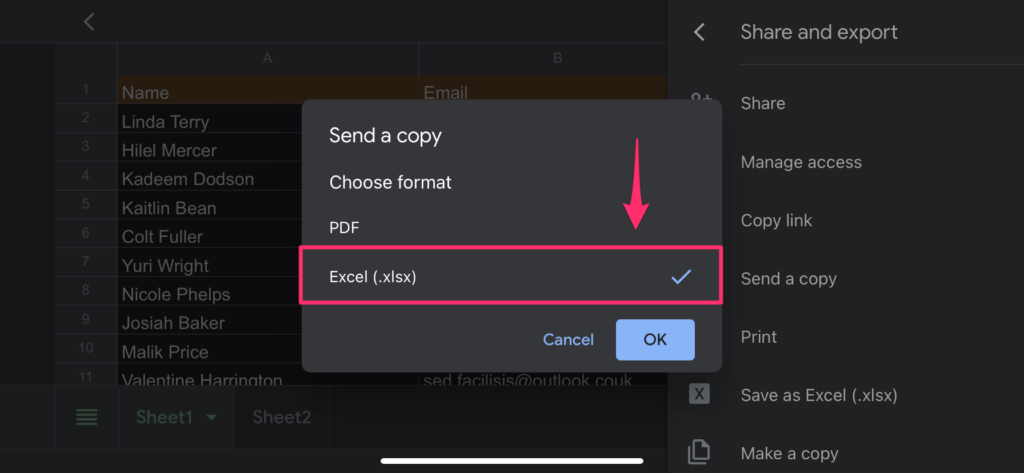 The arrow is pointing on the Excel file format that we would like to pick before we download the file