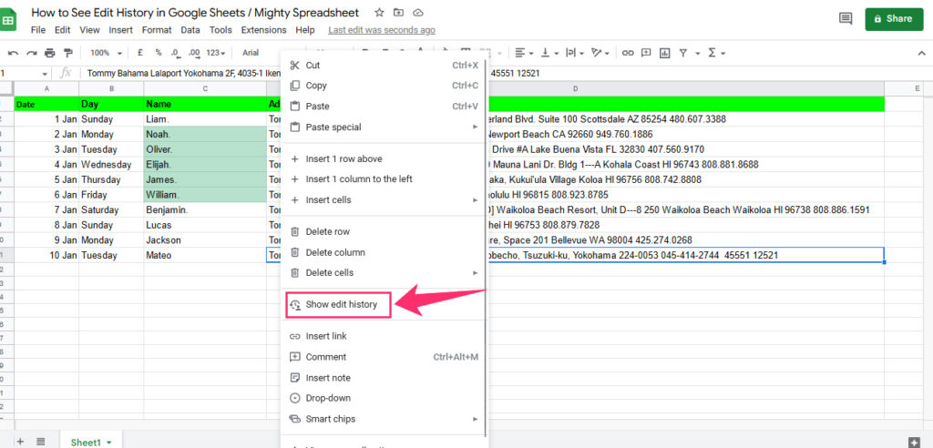 See revision history option in cell