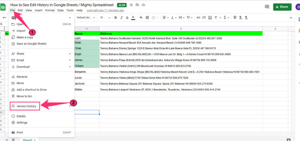 click on Version History under file option in sheets