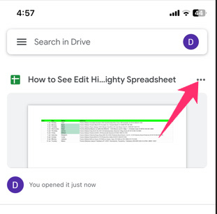 three dots right next to the file in sheets
